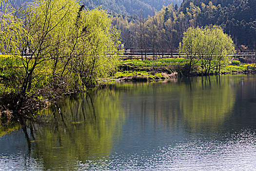 婺源乡间小景