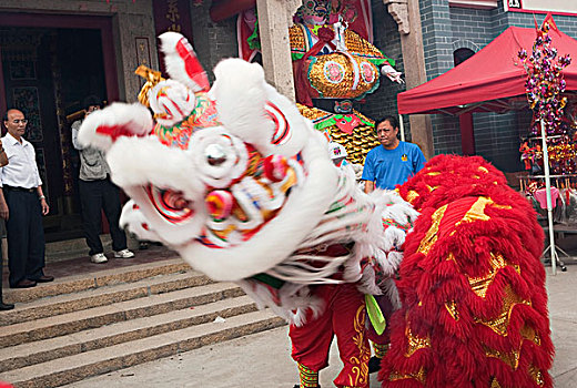 狮子,跳舞,房子,庆贺,节日,香港