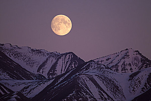 满月,上方,北方,斜坡,布鲁克斯山,阿拉斯加