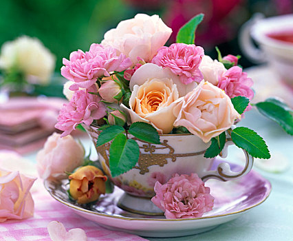 粉色,玫瑰,金色,装饰,茶杯