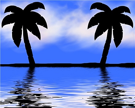 棕榈树,海岸