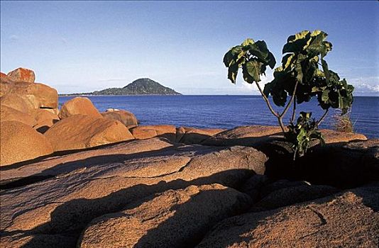 花冈岩,石头,非洲