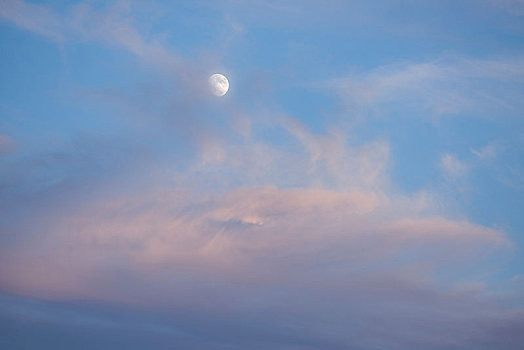 凸月,蓝天,黄昏,粉色,高积云,云