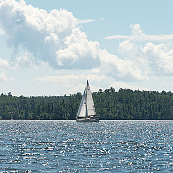 帆船,湖,木头,安大略省,加拿大