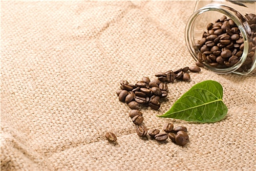 咖啡豆,绿叶,褐色,粗麻布
