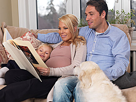 幸福之家,狗,享受,时间,一起,在家,怀孕,母亲,爸爸,女儿,看,相册