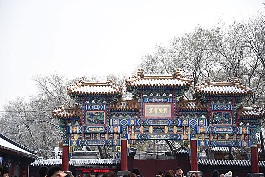 北京下雪了,雍和宫