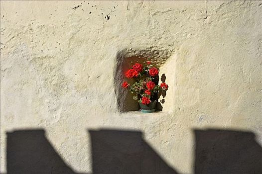 花,凹室,中世纪,房子,乡村,维诺斯塔,南蒂罗尔,意大利