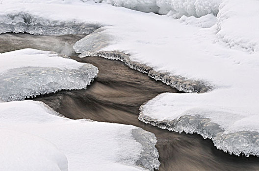 冰雪融化的小溪图片图片