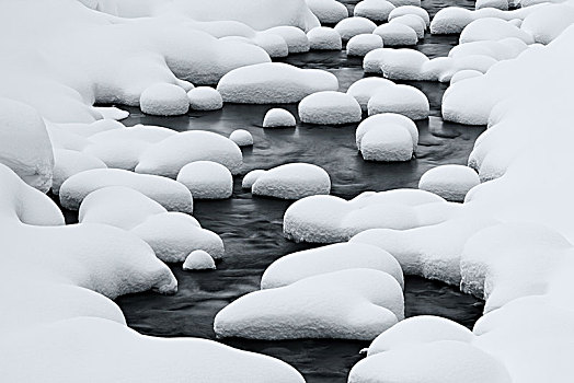 特写,河床,积雪,石头,冬天