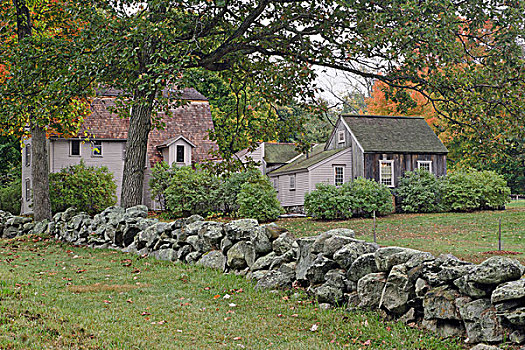 石墙,秋天,树,男人,国家,历史,公园,马萨诸塞