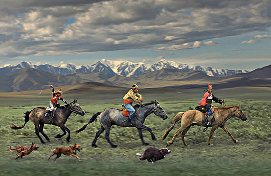 孩子,骑马,风景,那达慕大会,戈壁,草原,蒙古,亚洲