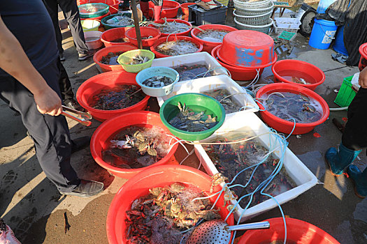 山东省日照市,中秋国庆将至,渔码头变成海鲜市场