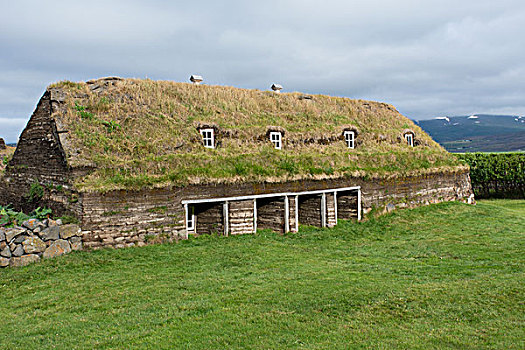 冰岛,历史,草皮,房子,财富,国家博物馆