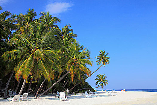 马尔代夫,岛屿,胜地,海滩
