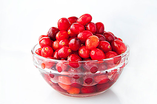 主要生长北半球的水果,红色浆果蔓越莓