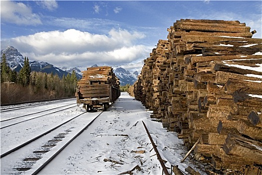 堆放,木头,旁侧,铁路,冬天