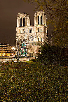 泛光灯照明,圣母大教堂,夜晚,巴黎,法国