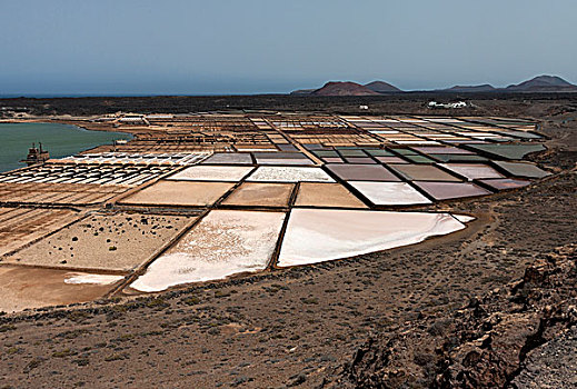 海盐,制作,盐磐,兰索罗特岛,加纳利群岛,西班牙,欧洲