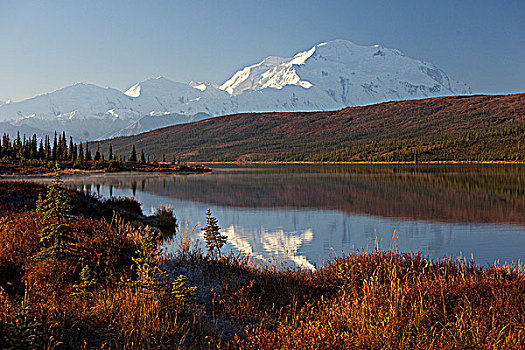 景色,山,麦金利山,反射,旺湖,德纳利国家公园和自然保护区,室内,阿拉斯加,秋天