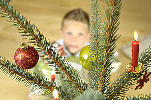 圣诞节,平安夜,圣诞树,特写,枝条,背景,孩子
