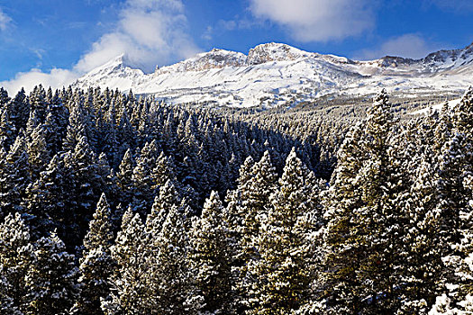 长袍,顶峰,山,冬天,冰川国家公园,蒙大拿,美国