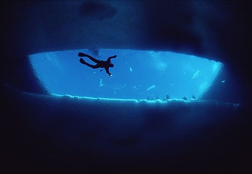潜水,下方,冰,巴芬岛,加拿大
