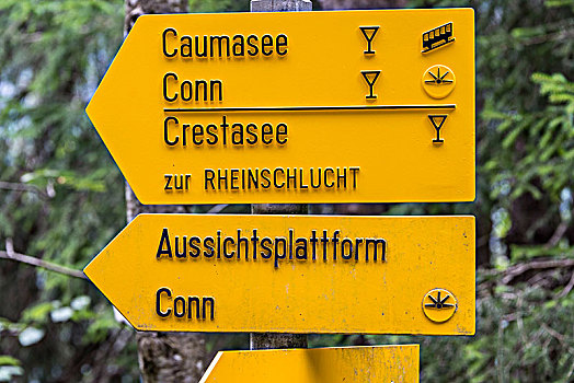 标识,莱茵河峡谷,湖,靠近,区域,瑞士