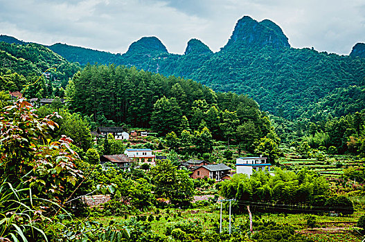 夏日山景