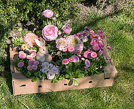 复活节兔子,花,盒子