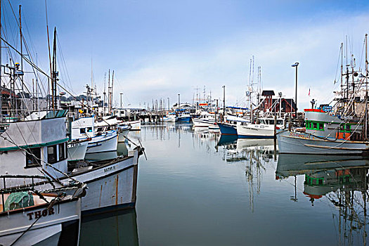 美国,加利福尼亚,旧金山,码头,渔船