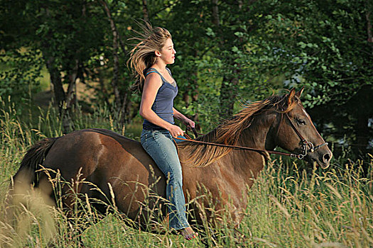 女孩,骑马,俄勒冈,美国