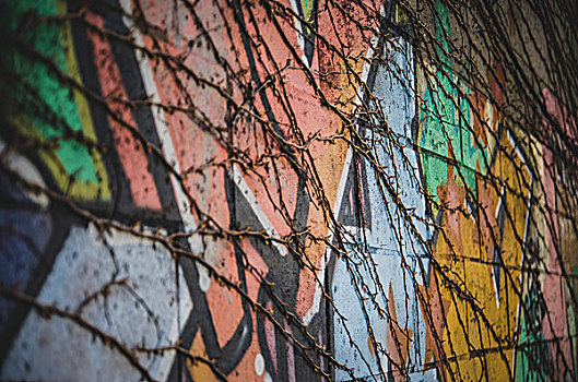 蔓藤,涂鸦,遮盖,墙壁,布鲁克林,纽约,城市,建筑