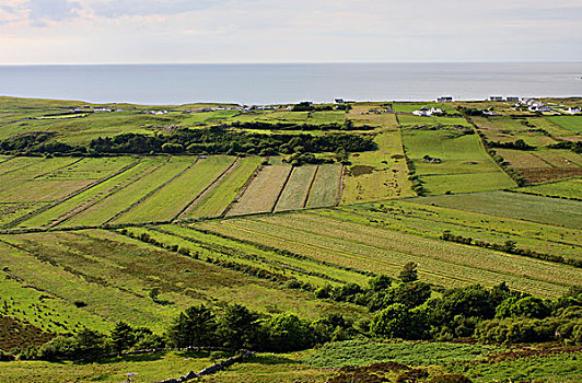 绿色,土地,半岛,多纳格,爱尔兰