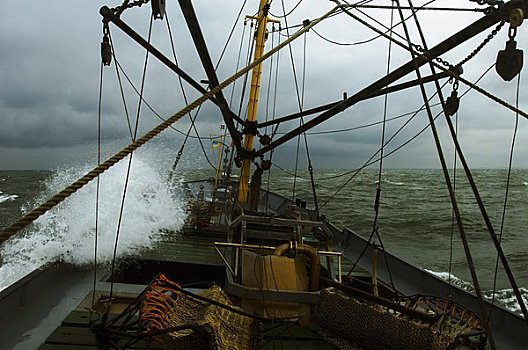 渔船,恶水,北荷兰,荷兰
