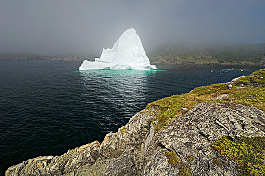 冰山,上升,雾,漂浮,湾,岩石海岸,东方,纽芬兰,拉布拉多犬,加拿大