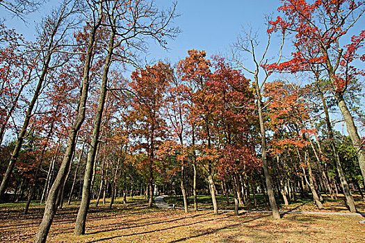 南京中山陵