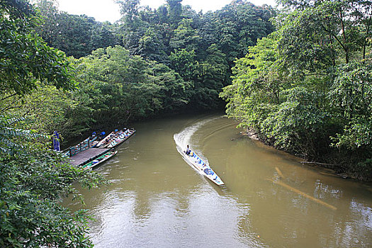 马来西亚穆鲁山国家公园热带雨林