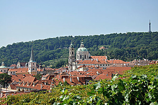 风景,布拉格,瓦兹拉夫,葡萄园,老城,捷克共和国,欧洲
