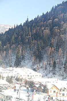 哈尔滨,雪乡,雪景,北方