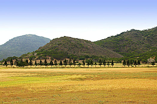 风景