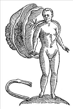 木刻,出生,1642年,文艺复兴
