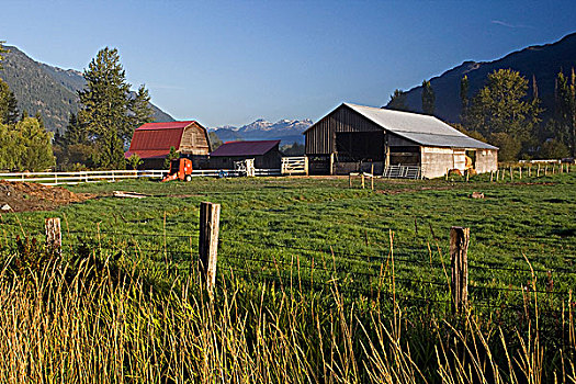 农田,不列颠哥伦比亚省,加拿大