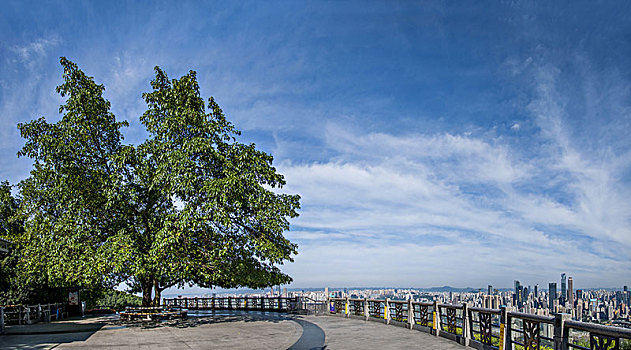 2025年重庆市南岸区南山一棵树风景区观景台