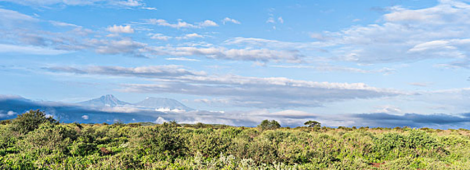 乞力马扎罗山,风景,国家公园,肯尼亚,非洲