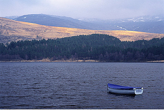 船,湖,靠近,树,苏格兰
