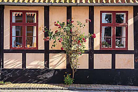 自然风光,老,半木结构房屋,欧洲,丹麦