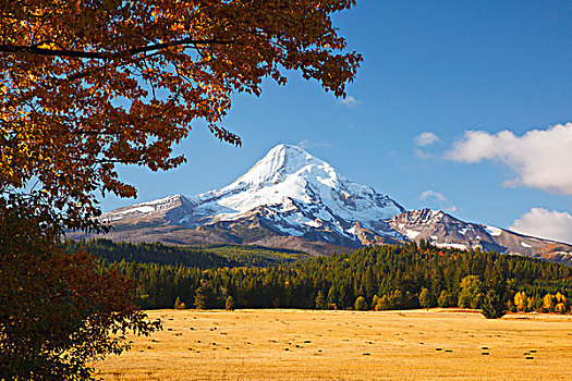 胡德山,秋色,胡德河,山谷,俄勒冈,美国