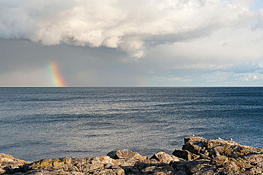 彩虹,乌云,岩石,海岸线,头部,阿卡迪亚国家公园,缅因,新英格兰,美国,北美