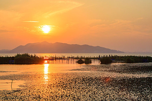 水面,水畔,水岸,阳光